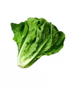 کاهو - 900 تا 1200 گرم