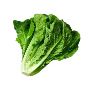 کاهو - 900 تا 1200 گرم