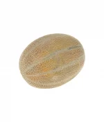 طالبی جانا 2.5 تا 3 کیلوگرم