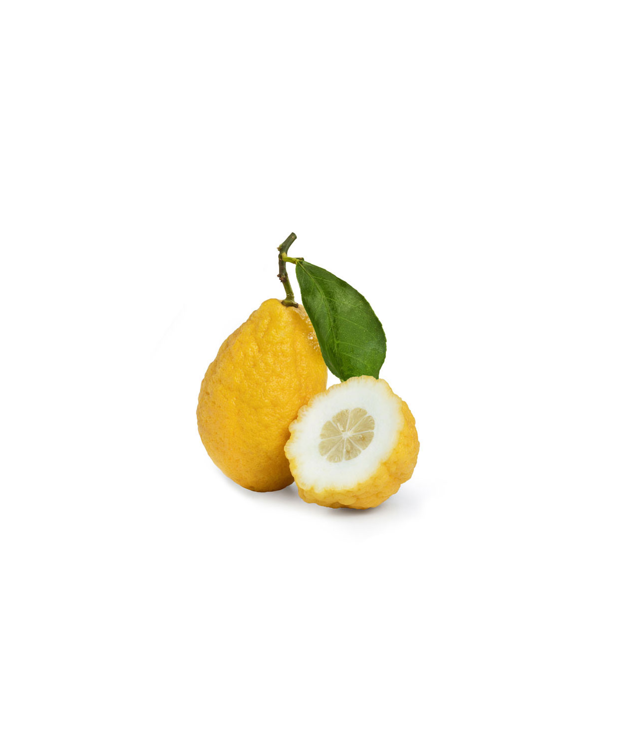 بالنگ - 1 کیلوگرم