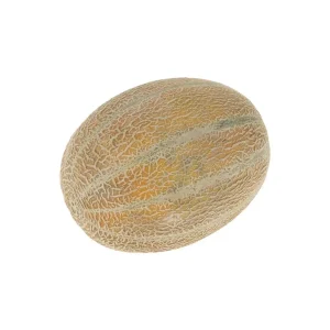 jana-min_1.webp طالبی جانا 2.5 تا 3 کیلوگرم