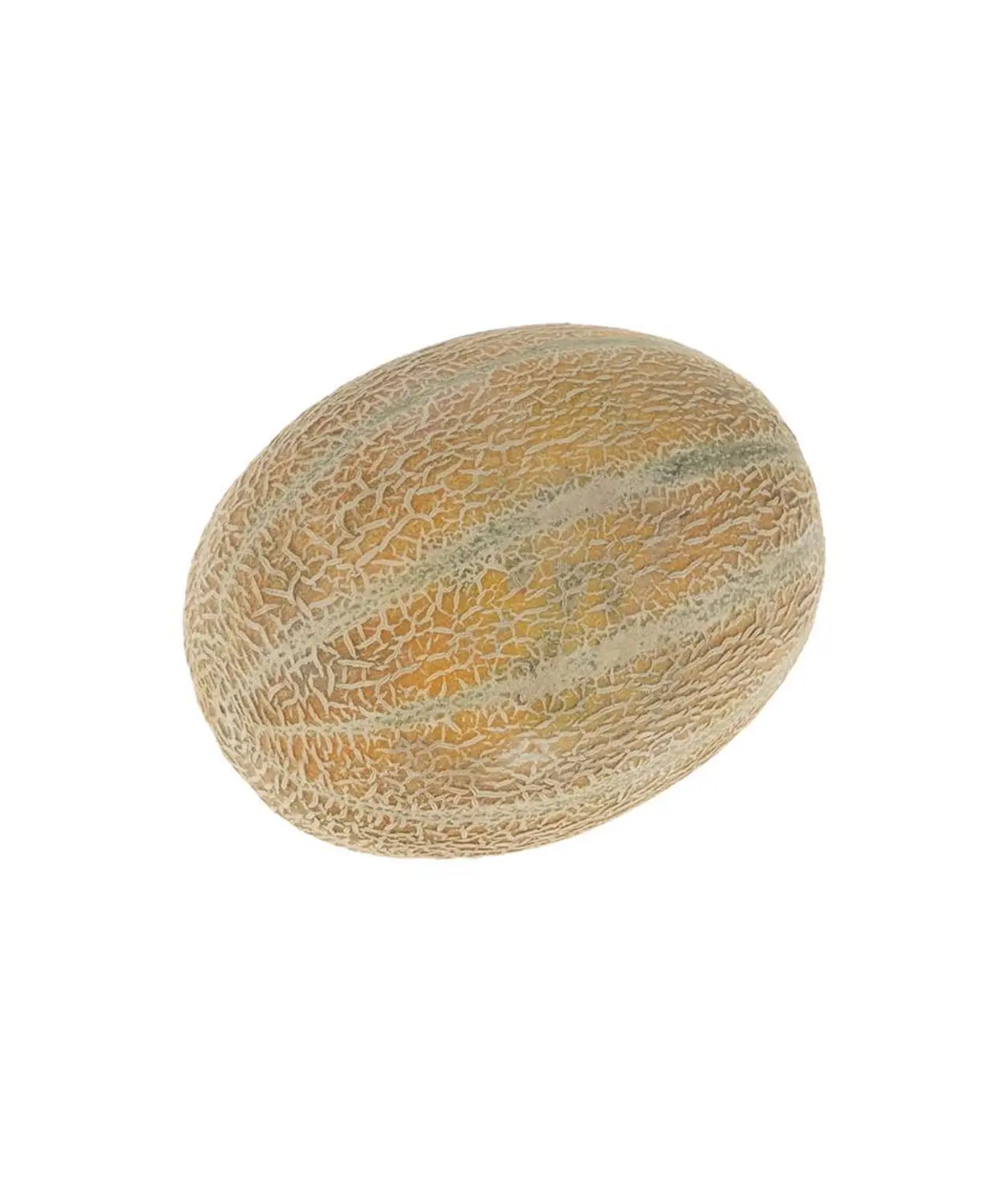 طالبی جانا 2.5 تا 3 کیلوگرم