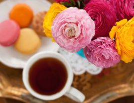 هفته گل با مردم هلند